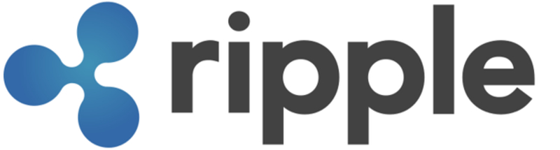 XRP스캔 데이터 "BNB체인 기반 리플 보유량 상위 10개 주소, 유통량 73% 점유"