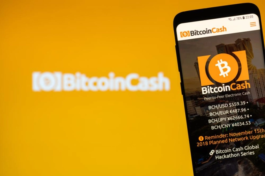 BTC 전도사 '비트코인 지저스', 트럼프에게 조세 사건 도움 요청, 최대 109년형 직면 / 셔터스톡