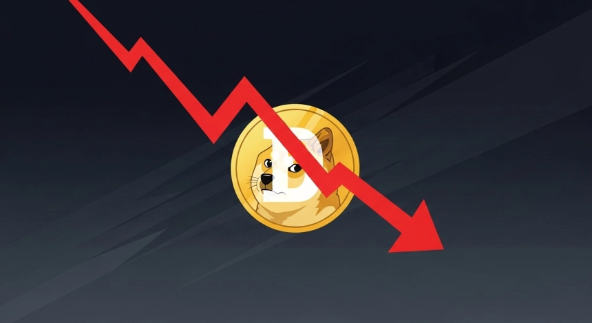 도지코인($DOGE) 고래 지갑서 한 달간 30억 DOGE 유출…시장 유동성 위축 심각 / TokenPost.ai