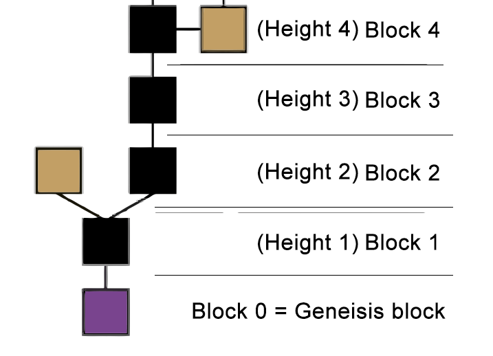 블록 높이(Block height) TokenPost