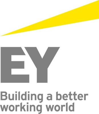 EY, 기업용 블록체인 패키지 ‘EY 옵스 체인’ 출시