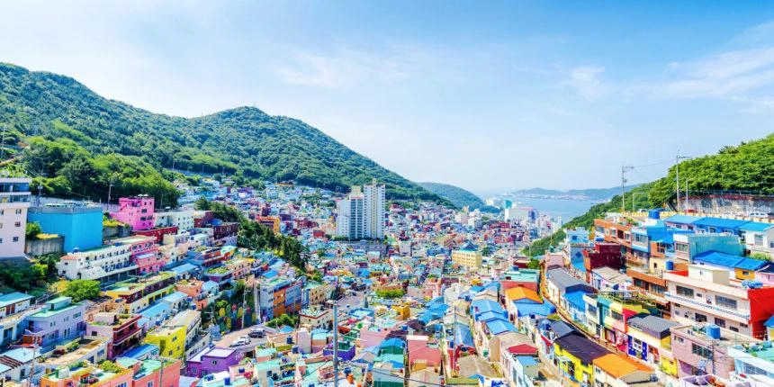 8월 5일(월) 국내외 블록체인 뉴스 오전 브리핑