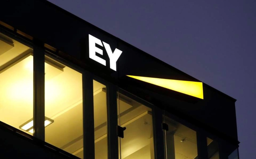 언스트앤영(EY), 블록체인 기반 공공 자금 관리 프로그램 출시