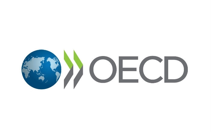 OECD 보고서, “동남아 지역, 암호화폐 투자 낙관성 위험 수준”