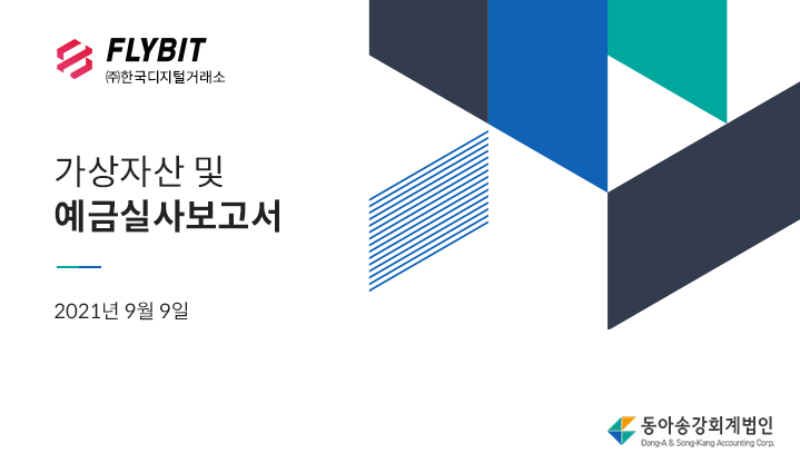 플라이빗, 회계법인 실사보고서 공개…"보유액 고객예치금보다 많아"