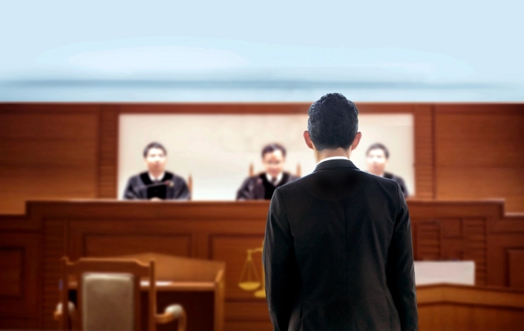 친 리플 변호사 "SEC·리플 약식판결, SEC에 불리해"