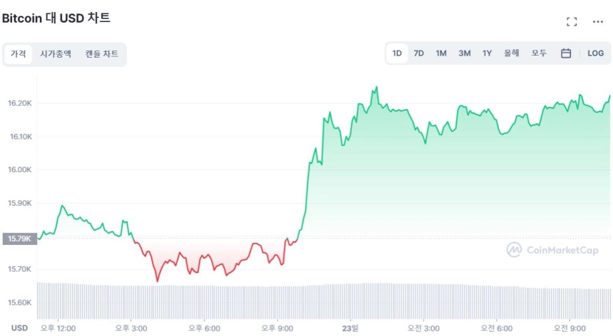 [오후 시세브리핑] 비트코인 1만6200달러선 회복...2.57% ↑