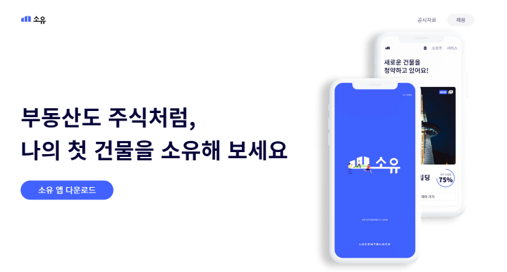 부동산 조각투자 '소유', 안전한 투자처는 아니다