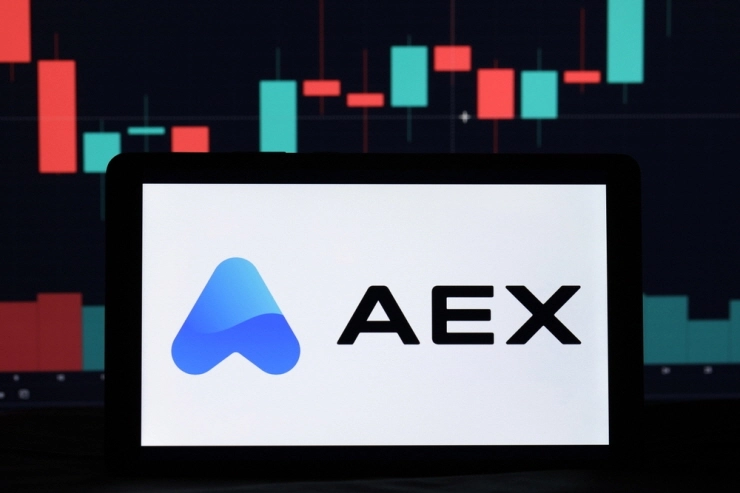 '출금 중단' AEX 거래소 "규제 기관 조사 받는 중...자산 일부 압류"