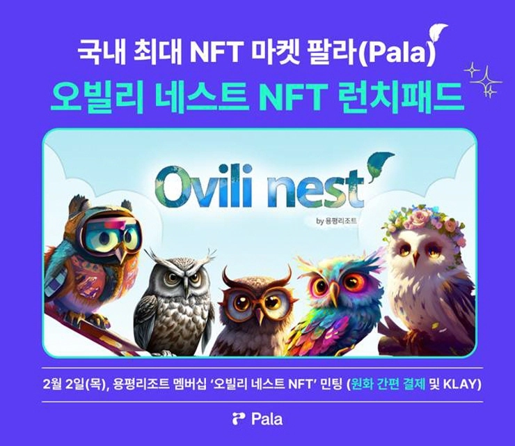팔라, 국내 첫 용평리조트 멤버십 NFT '오빌리 네스트' 런치패드 출시