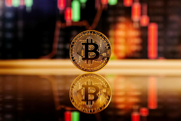 2023년 반드시 투자해야 할 신규 알트코인