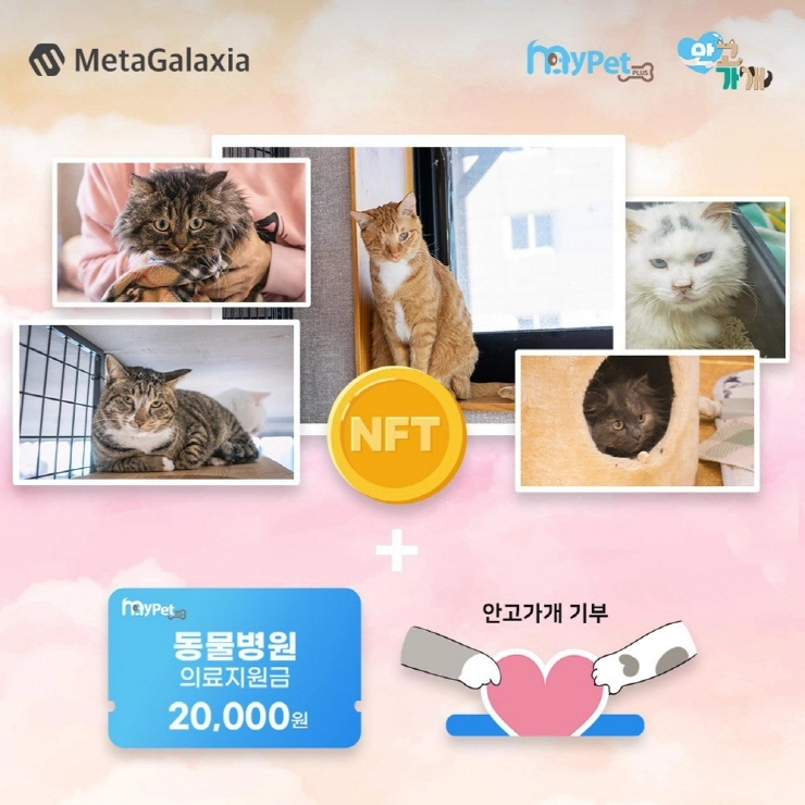 갤럭시아넥스트, 마이펫플러스 '안고가개 NFT' 판매...NFT 플랫폼 최초 배송 적용