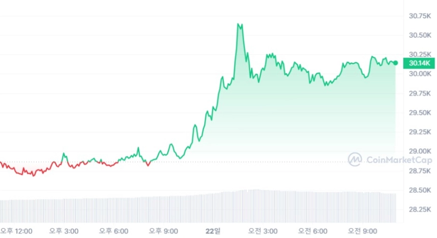 [오후 시세브리핑] 비트코인 3만 달러선 유지...4.8% ↑