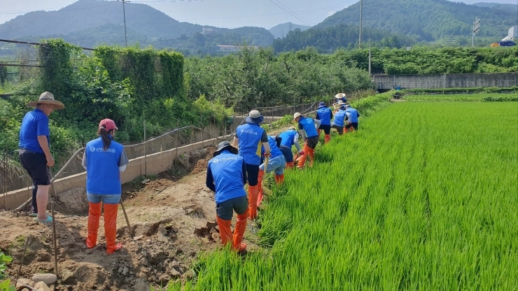 신한금융그룹, 수해 복구 봉사활동 실시...충청지역 수해복구 지원