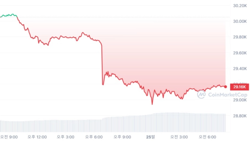 [시세브리핑] 비트코인 2만9150 달러선까지 밀려...DOGE 4% ↑