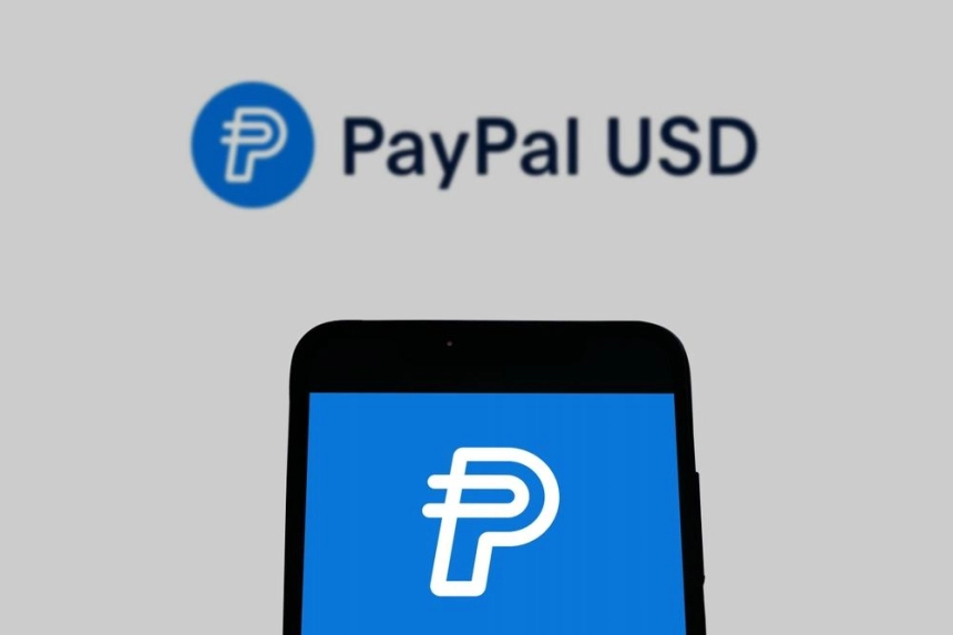 페이팔 스테이블코인 PYUSD, 시가총액 40% 감소