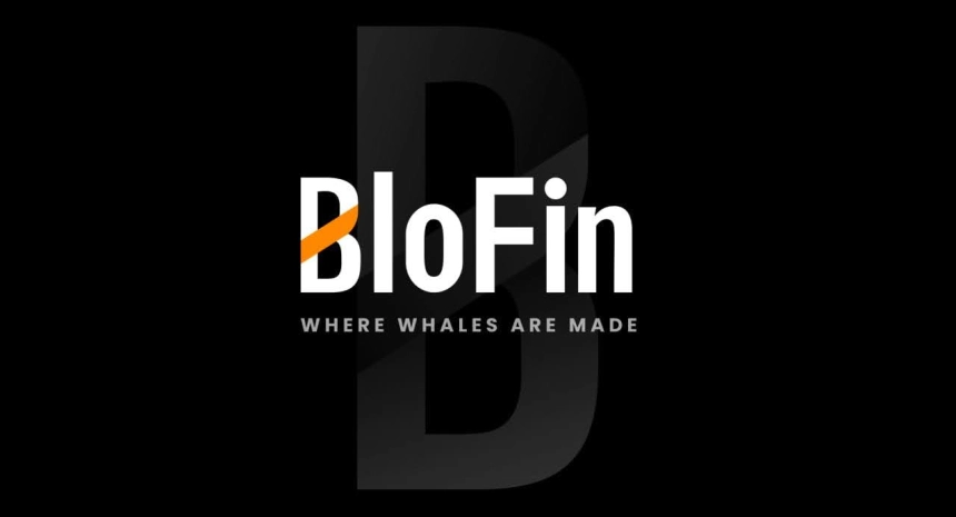 블로핀, 2025년 웹·모바일 플랫폼 고도화… 사용자 거래 경험 강화 / 블로핀(BloFin)