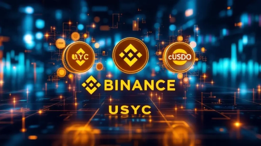 바이낸스, 수익 분배형 스테이블코인 USYC·cUSDO 담보 수락 / TokenPost Ai