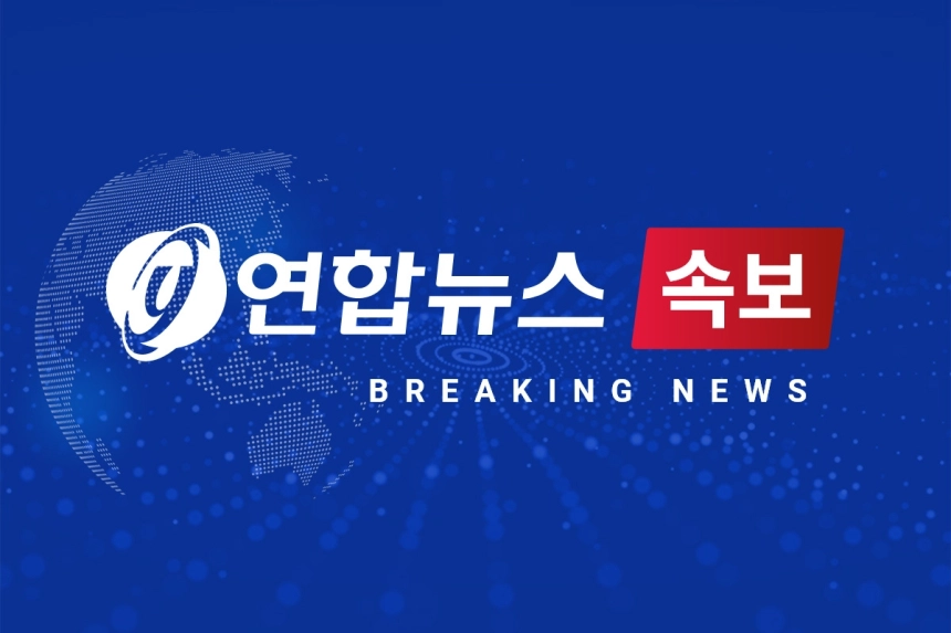 솔디펜스, 42억 원에 알비솔루션 인수…총포·화학 유통으로 외연 확장 / 연합뉴스