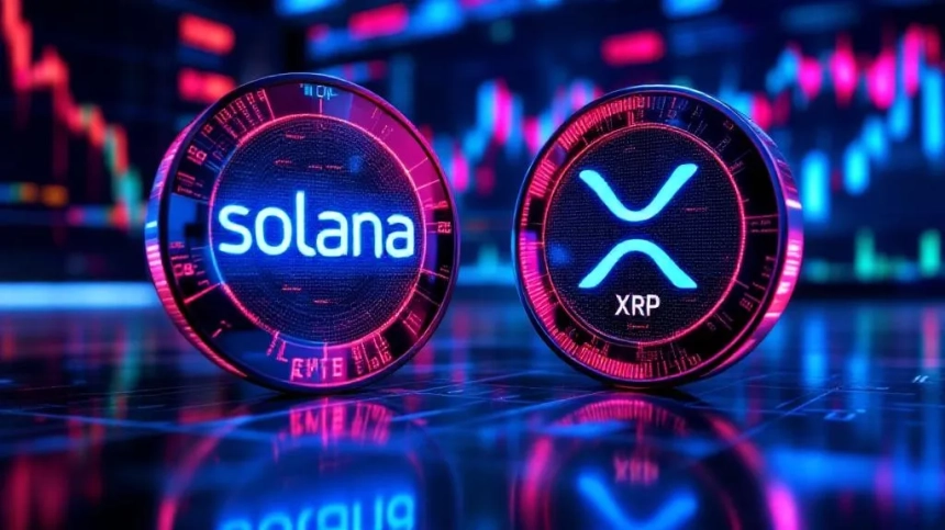 CME, 솔라나·XRP 옵션 상품 출시…당일 거래 개시 / TokenPost Ai