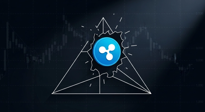 피터 브란트 'XRP, 대세 상승 전환 임박'…2017년 강세장 패턴 재현되나 / TokenPost.ai