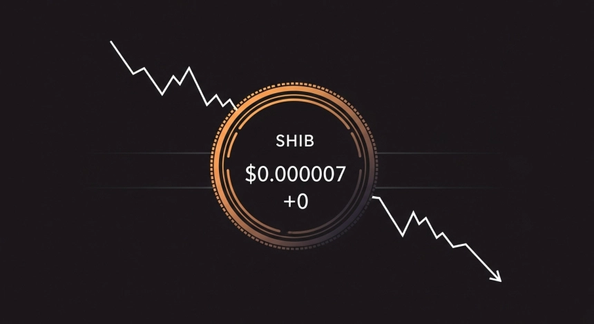 시바이누(SHIB), 11월 평균 -9.1% 하락 경고…'1 제로' 재등장 가능성 / TokenPost.ai