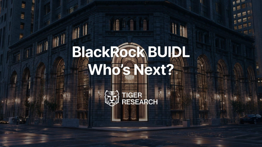 타이틀/타이거리서치(Tiger Research)