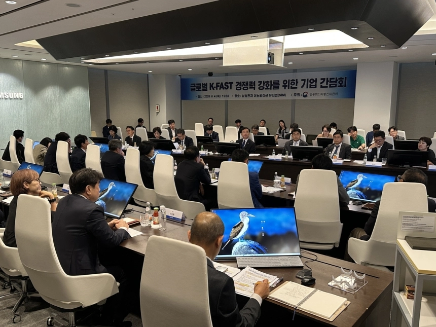 패스트(FAST) 플랫폼, 해외 진출 교두보로… 글로벌 시장 공략 시동 / 연합뉴스