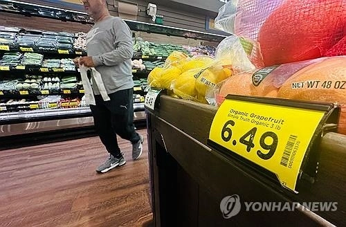 에너지발 물가 충격, 미국 5월 CPI 4.2% 상승 / 연합뉴스