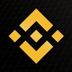 바이낸스 로고 / Binance